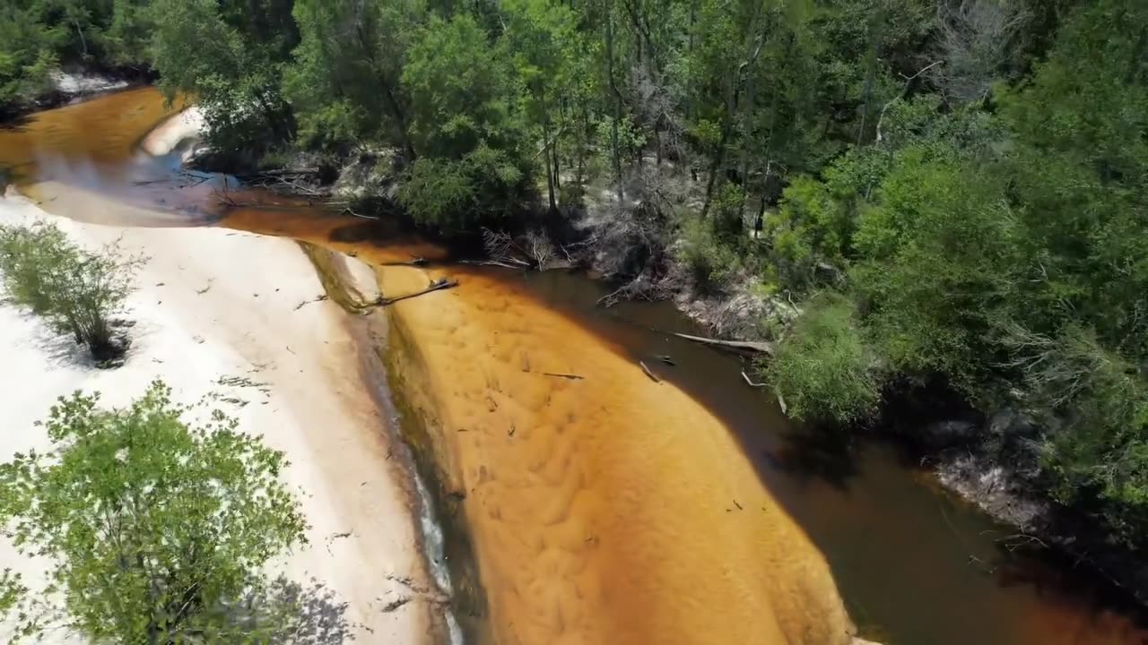 Tea-colored Alapaha River water running low over wide sandbars in South Georgia