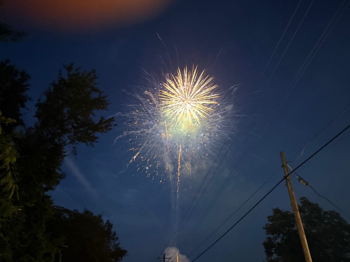 A gold and green firework opening over the treeline while the sky is still slightly blue