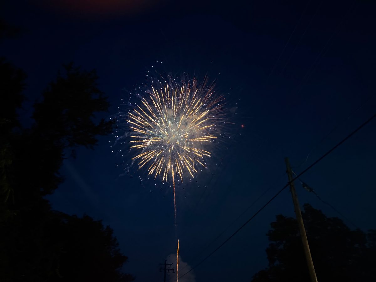 A golden chrysanthemum firework high in the night sky above power lines