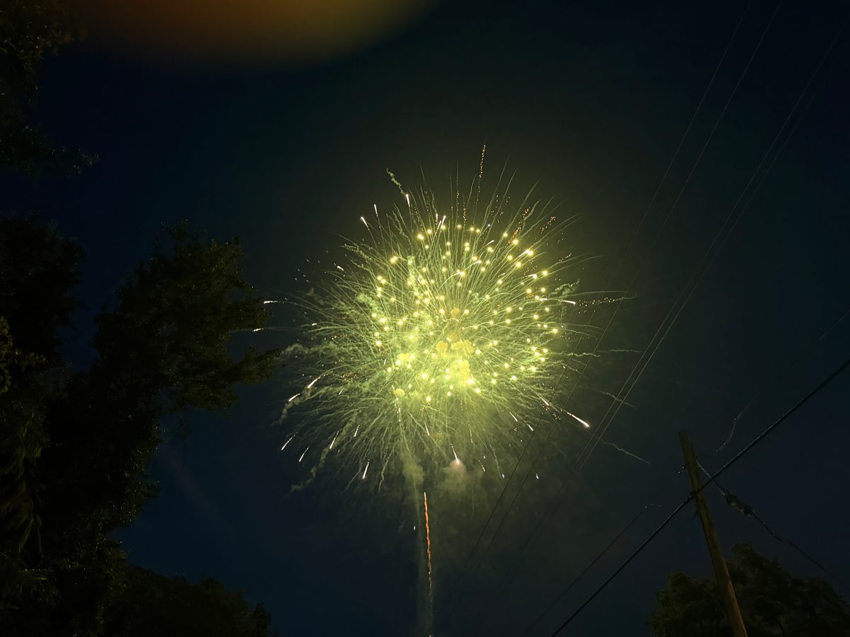 A large green and gold glittering firework filling the dark sky
