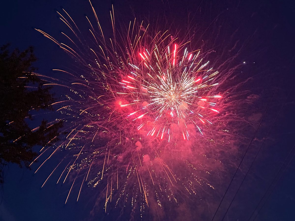 A brilliant red and gold firework burst against a deep blue night sky